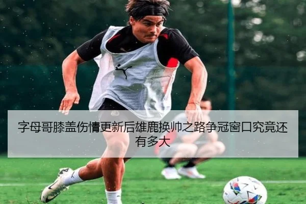 字母哥膝盖伤情更新后雄鹿换帅之路争冠窗口究竟还有多大