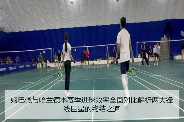姆巴佩与哈兰德本赛季进球效率全面对比解析两大锋线巨星的终结之道