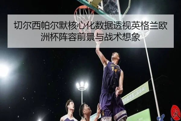 切尔西帕尔默核心化数据透视英格兰欧洲杯阵容前景与战术想象